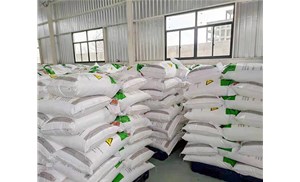 丁二酸酐有什么質量標準？